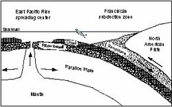 Franciscan subduction