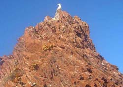 Ribbon chert on Red Rock