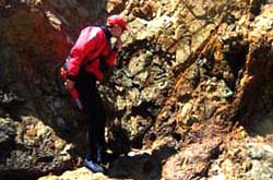 Altered pillow basalts on Angel Island