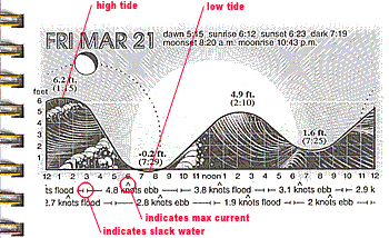 San Francisco Tide Chart 2018