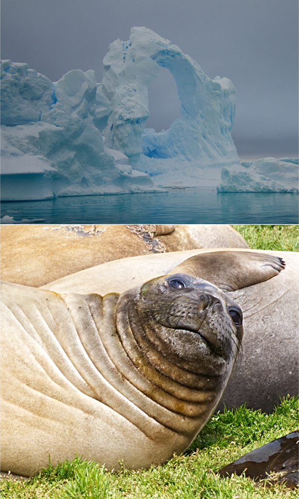 img_lg_me_Antarctica